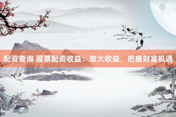 配资查询 股票配资收益：放大收益，把握财富机遇