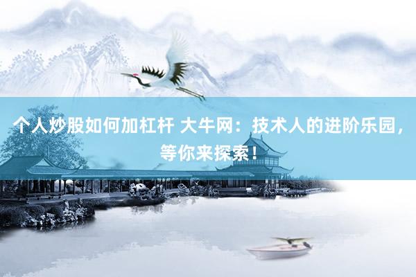 个人炒股如何加杠杆 大牛网：技术人的进阶乐园，等你来探索！