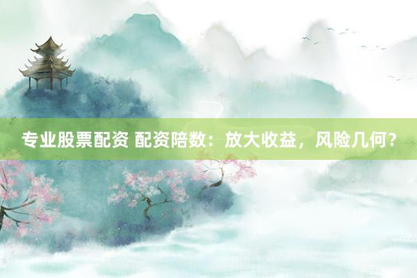 专业股票配资 配资陪数：放大收益，风险几何？