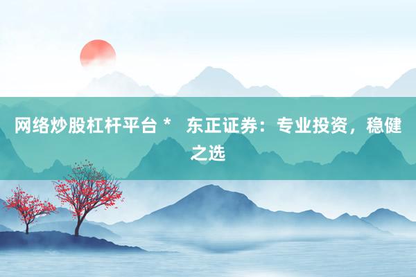 网络炒股杠杆平台 *   东正证券：专业投资，稳健之选
