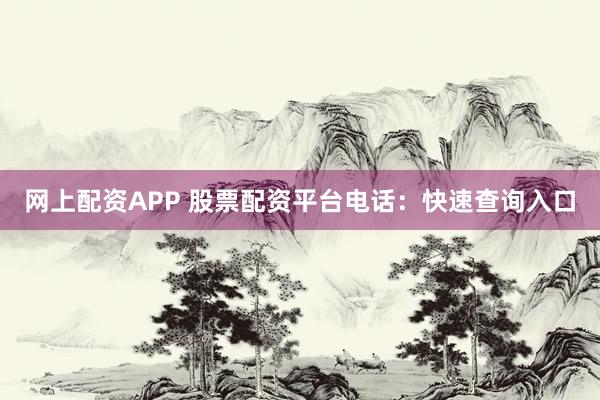 网上配资APP 股票配资平台电话：快速查询入口