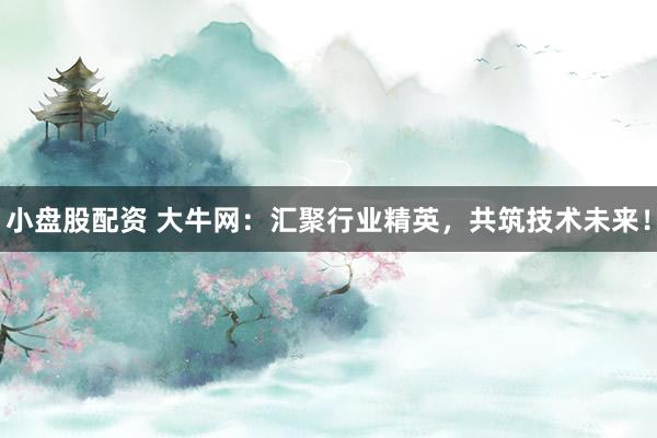 小盘股配资 大牛网：汇聚行业精英，共筑技术未来！