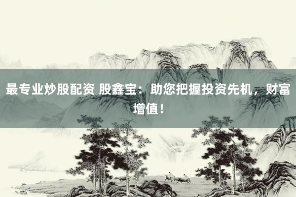 最专业炒股配资 股鑫宝：助您把握投资先机，财富增值！