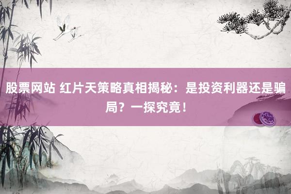 股票网站 红片天策略真相揭秘：是投资利器还是骗局？一探究竟！