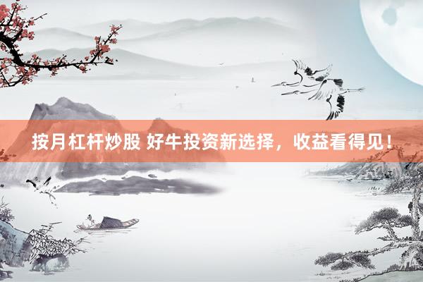 按月杠杆炒股 好牛投资新选择，收益看得见！