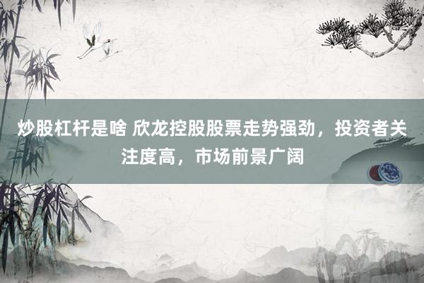 炒股杠杆是啥 欣龙控股股票走势强劲，投资者关注度高，市场前景广阔