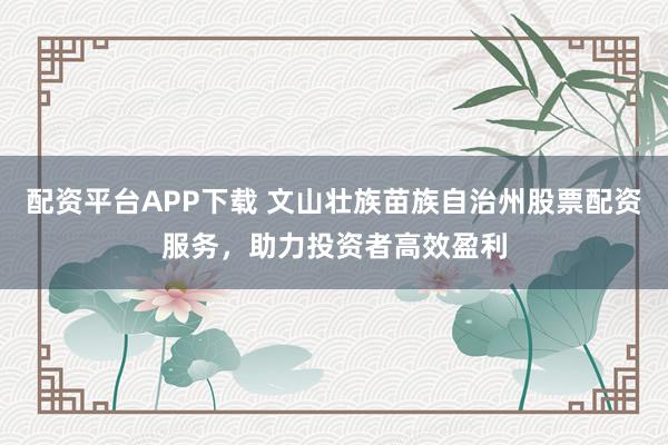 配资平台APP下载 文山壮族苗族自治州股票配资服务，助力投资者高效盈利