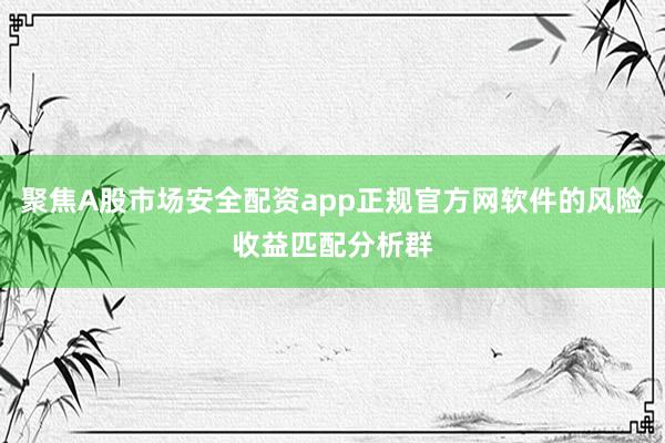 聚焦A股市场安全配资app正规官方网软件的风险收益匹配分析群