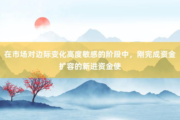 在市场对边际变化高度敏感的阶段中，刚完成资金扩容的新进资金使
