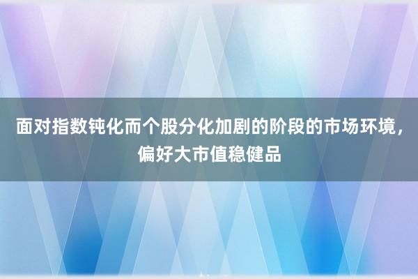 面对指数钝化而个股分化加剧的阶段的市场环境，偏好大市值稳健品