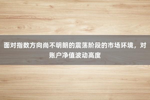 面对指数方向尚不明朗的震荡阶段的市场环境，对账户净值波动高度