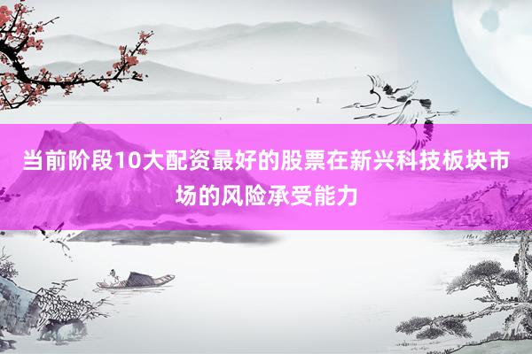 当前阶段10大配资最好的股票在新兴科技板块市场的风险承受能力