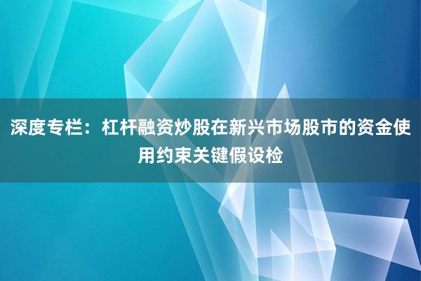 深度专栏：杠杆融资炒股在新兴市场股市的资金使用约束关键假设检