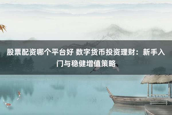 股票配资哪个平台好 数字货币投资理财：新手入门与稳健增值策略