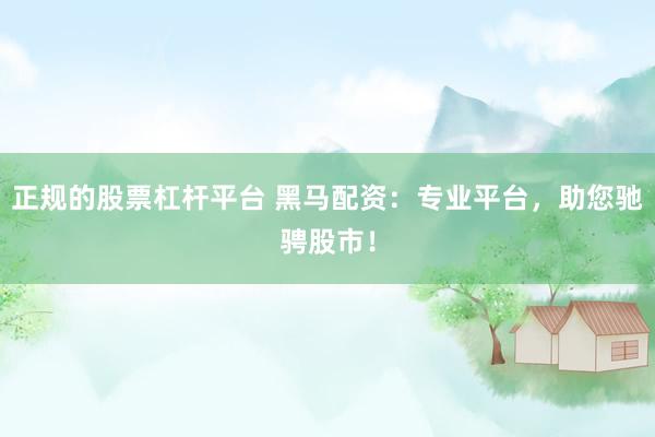 正规的股票杠杆平台 黑马配资：专业平台，助您驰骋股市！