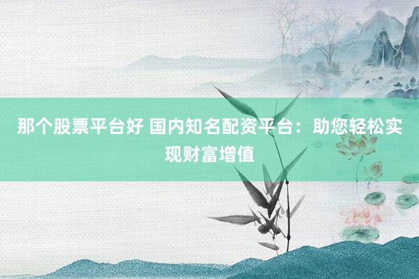 那个股票平台好 国内知名配资平台：助您轻松实现财富增值