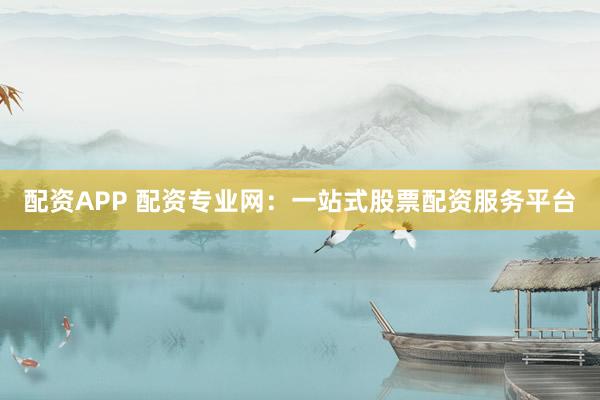 配资APP 配资专业网:一站式股票配资服务平台